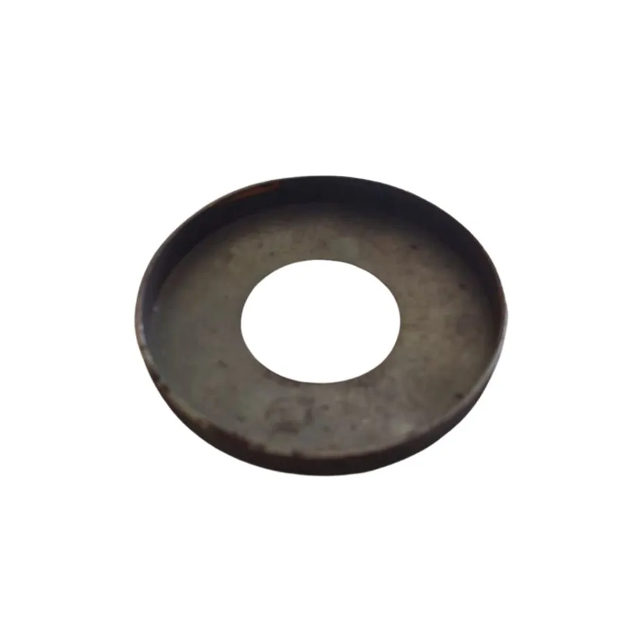 Capac protectie praf Butuc Disc Strumyk Terraking Utilaje Agricole Salonta